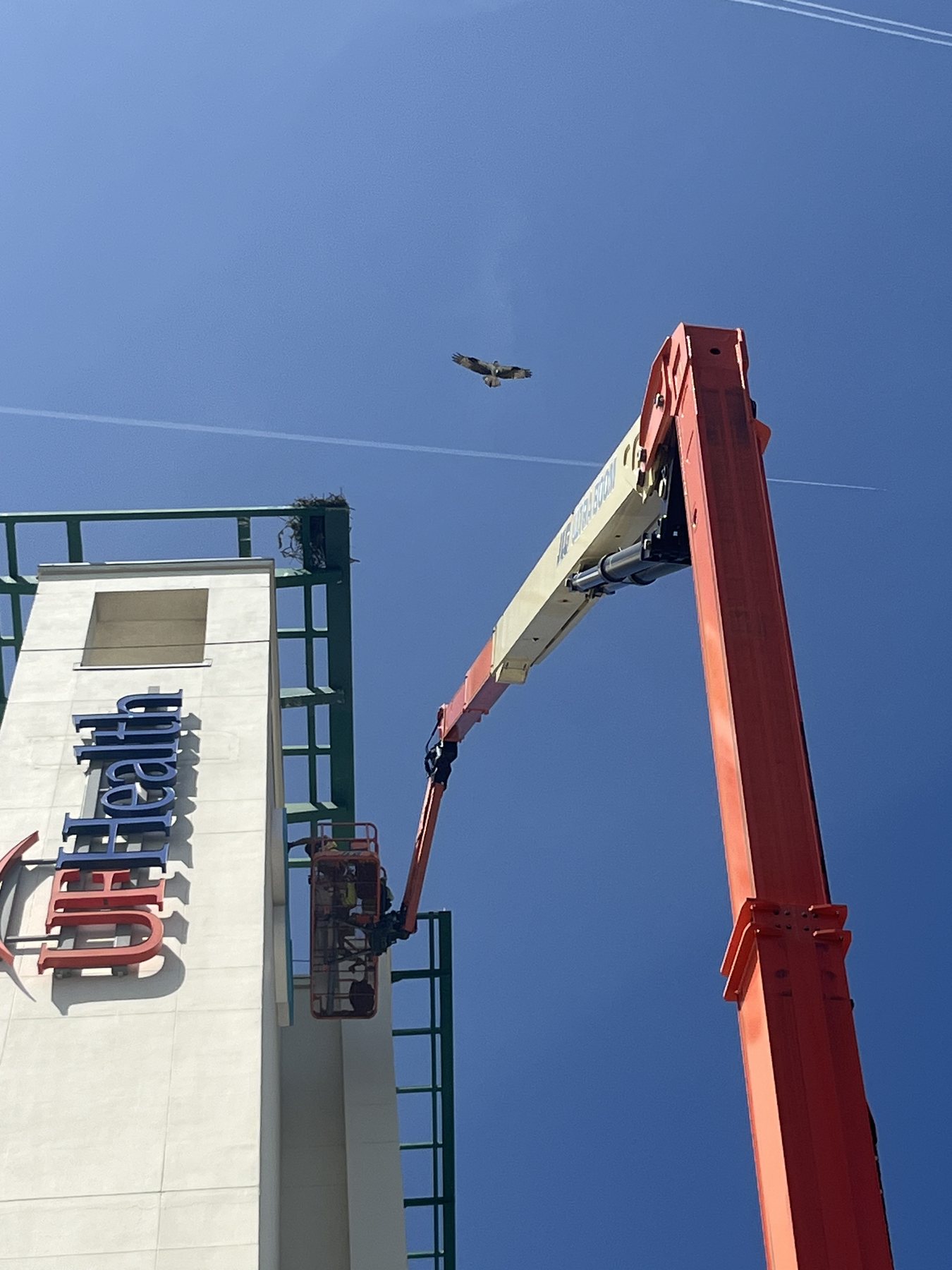 Rooftop hoist placing illuminated channel letters